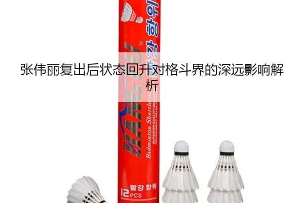 张伟丽复出后状态回升对格斗界的深远影响解析