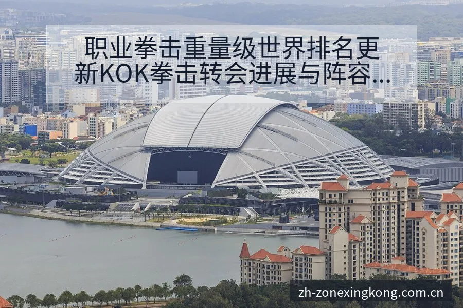职业拳击重量级世界排名更新KOK拳击转会进展与阵容影响战 - 星空体育